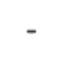 MJ1M2_AV1.webp